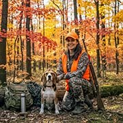 beagles