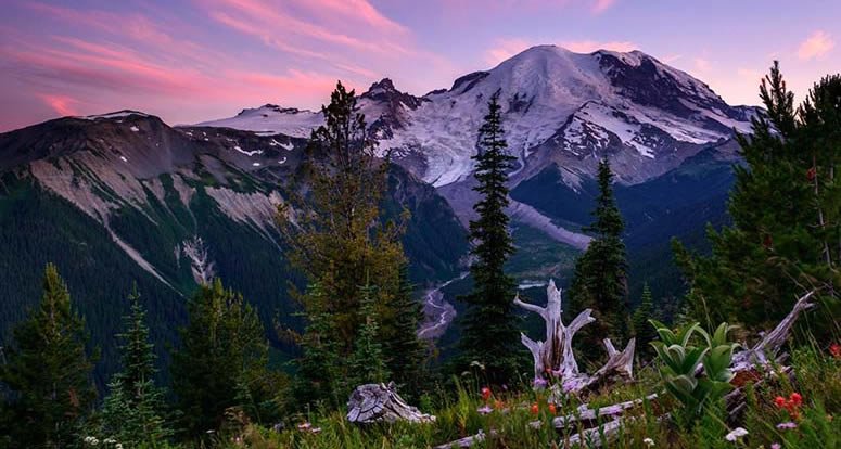 Mt. Rainier N.P.
